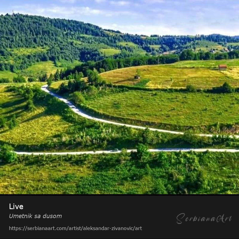 Live, Watercolor/Canvas, Umetnik sa dusom