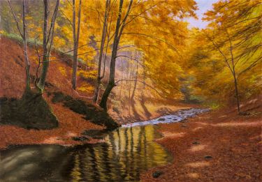 Autumn on the Wolf Creek by Trajković Dejan