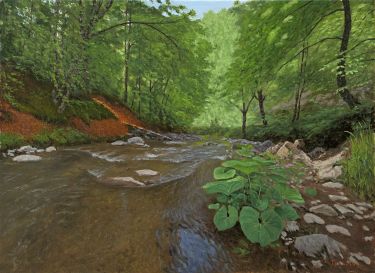 Landscape from Wolf River by Trajković Dejan