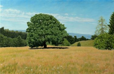 The Old Oak by Trajković Dejan