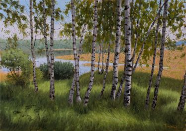 Birches Beside the Lake by Trajković Dejan