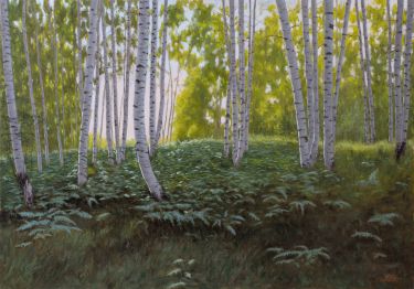 The Ferns in the Birch Forest