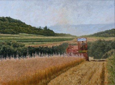 Harvest in Rabbit Slopes by Trajković Dejan