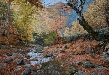 A Wooded River by Trajković Dejan