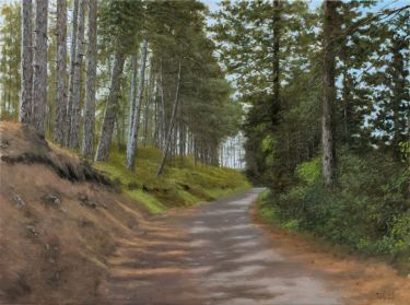 Rocky Road Through the Pine Forest by Trajković Dejan
