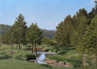 Pines and Mountain Stream