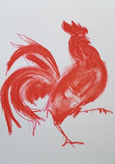 Red rooster