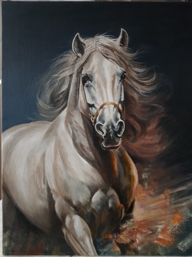Horse XLI by Kamberović Udait