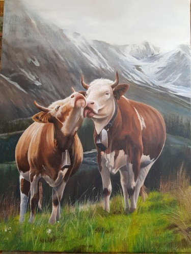 Cows III by Kamberović Udait