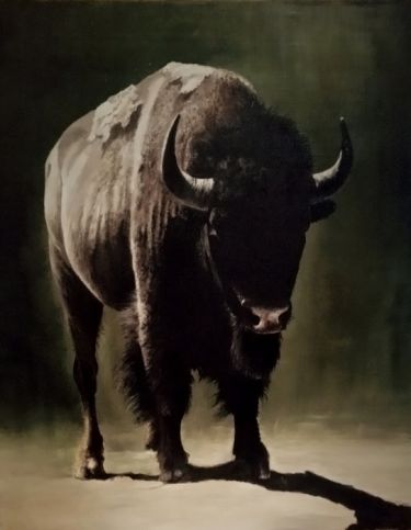 Buffalo