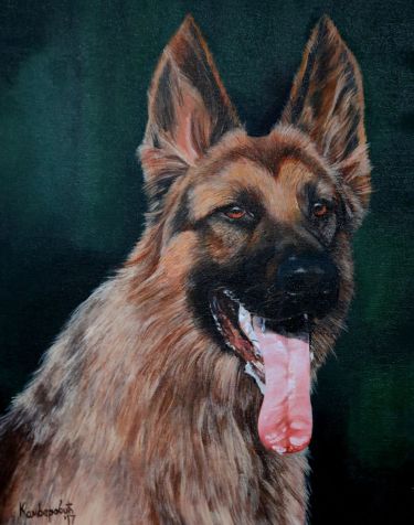 German Shepard