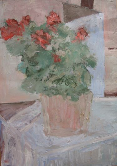 Begonia by Pajkovic Sloba