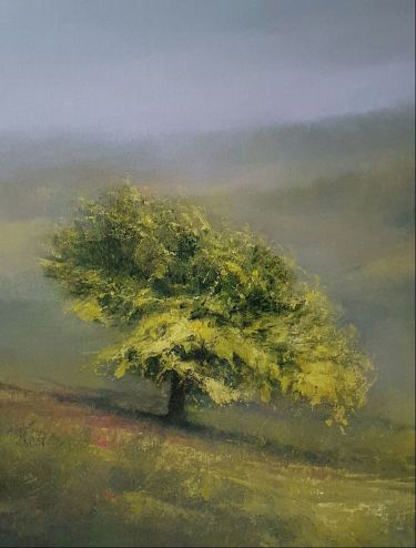 ` Light Green in Misty Vail - 2` 