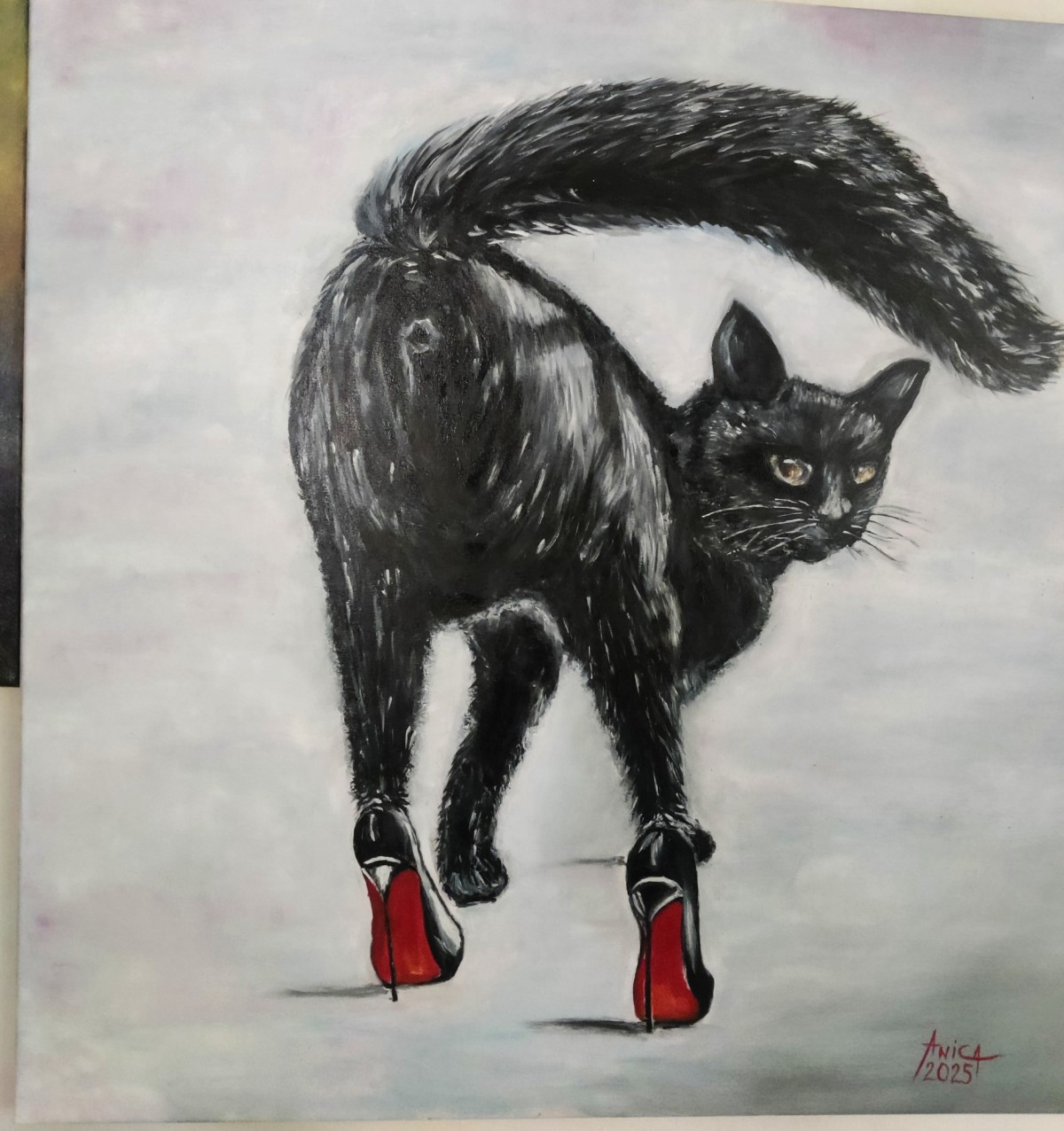 Black cat