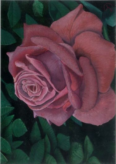 lightred rose by Labović Dusan