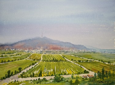 Fruška Gora by Ševo Dejan