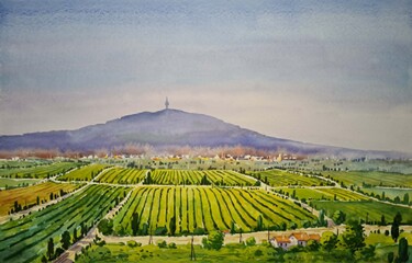 Fruška Gora by Ševo Dejan