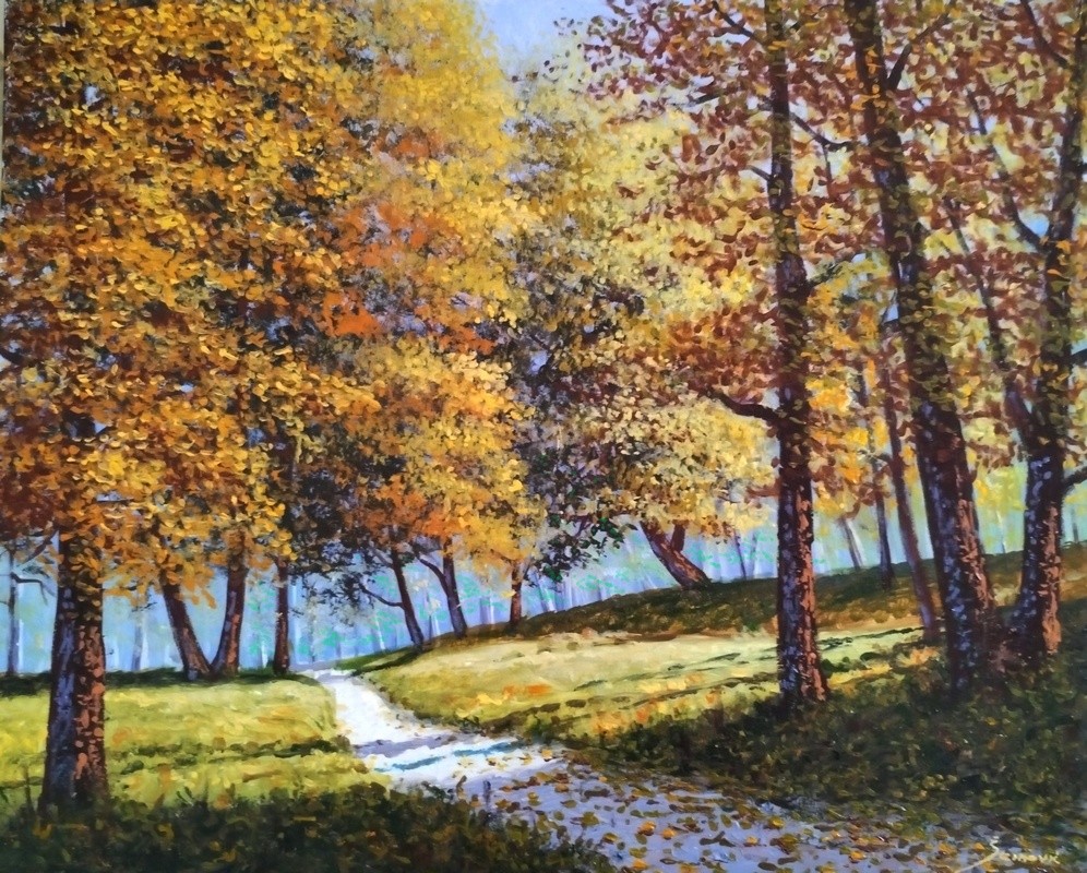 Path through the forest