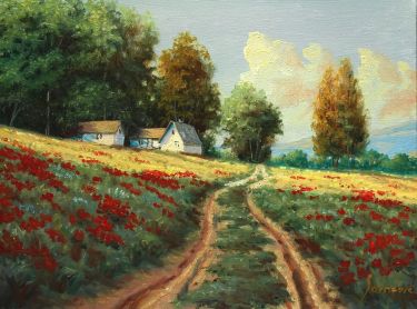 The field of poppies