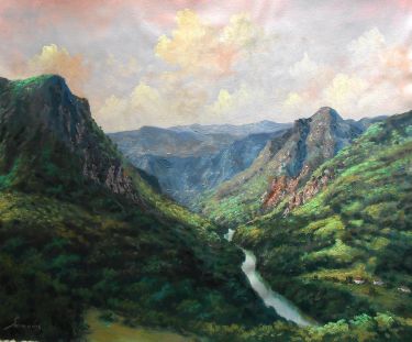 The Tara river by Borko Šainović