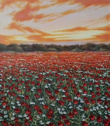 The poppy field,  by Borko Šainović