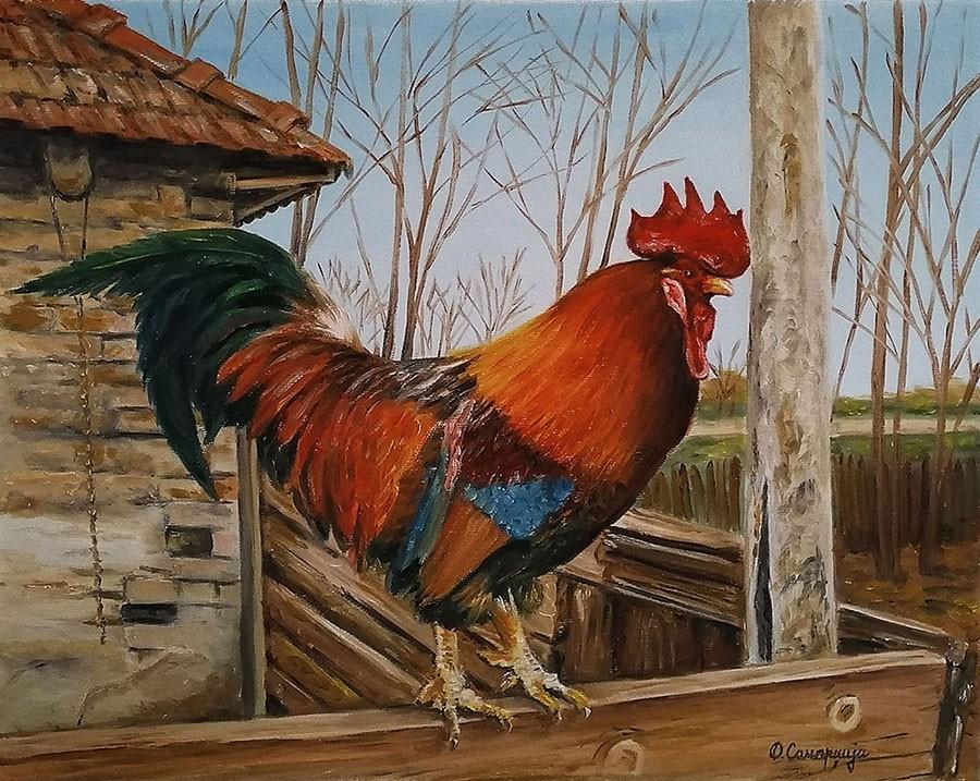 Rooster