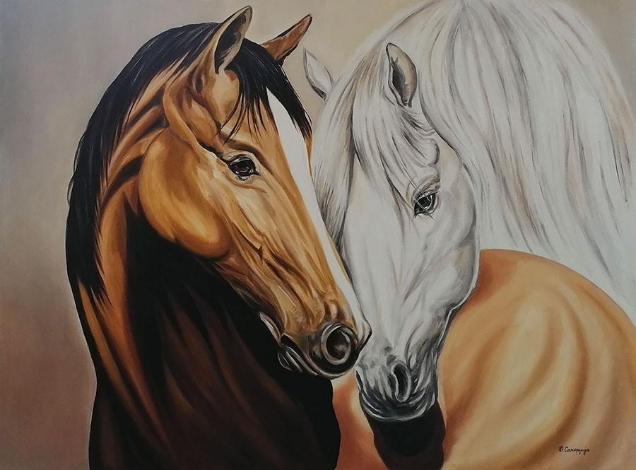 Horses