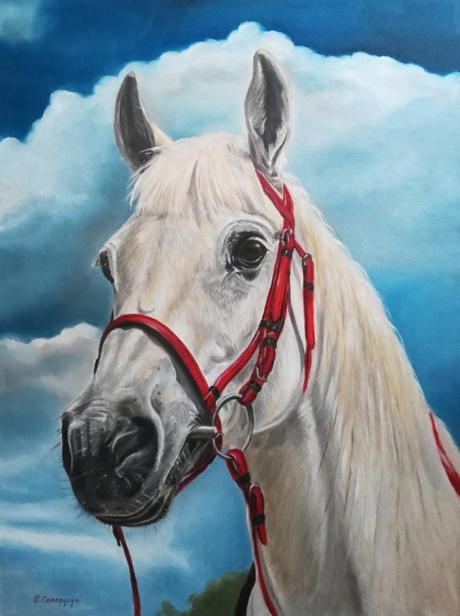 Horse Lasta