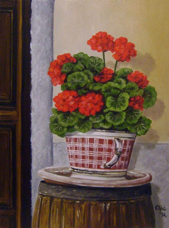 Geranium