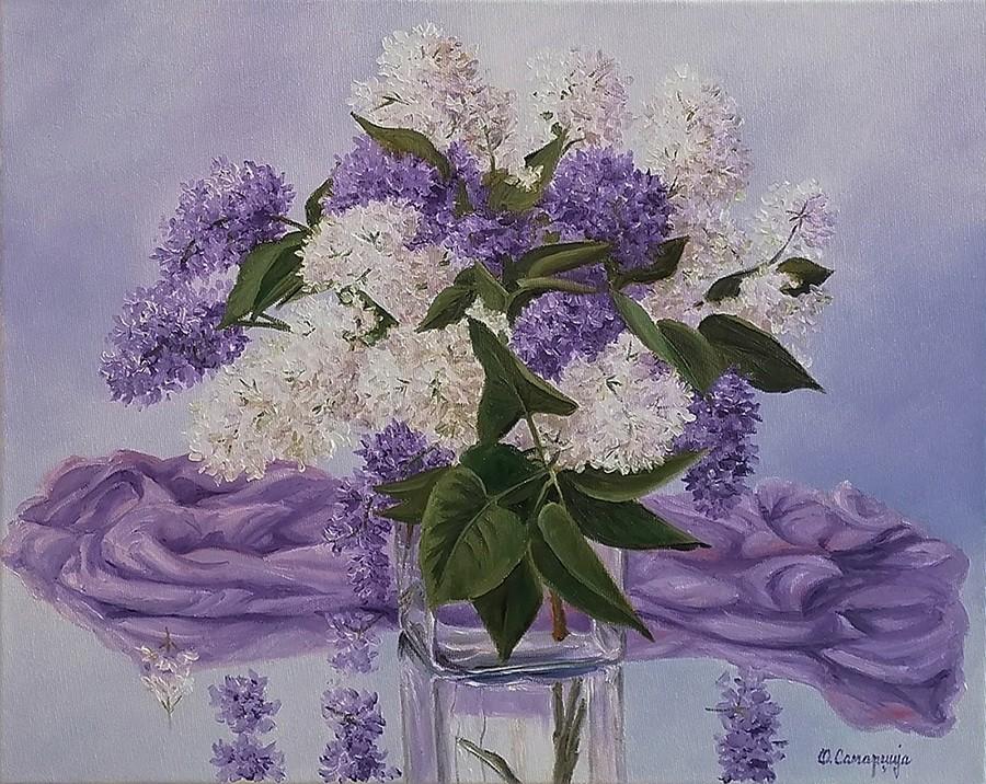 Lilac 3