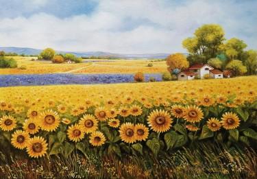 Sunflower field 1 by Samardzija Olivera Olja