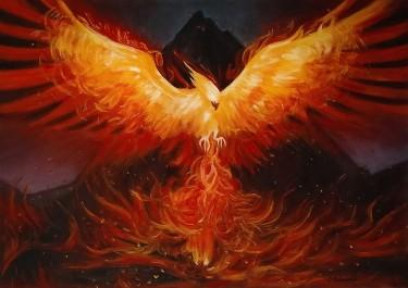 Phoenix by Samardzija Olivera Olja