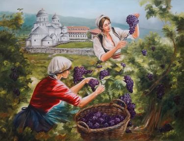 Grape harvest