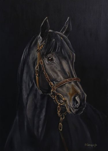 Black horse