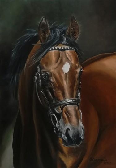 Horse 1 by Samardzija Olivera Olja