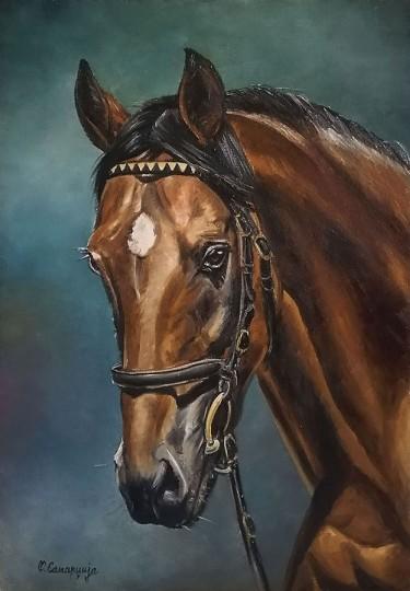 Horse 2 by Samardzija Olivera Olja