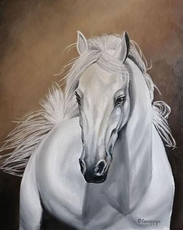 White horse by Samardzija Olivera Olja