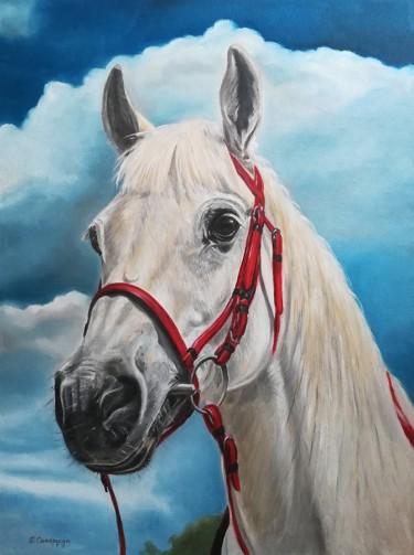 Horse Lasta by Samardzija Olivera Olja