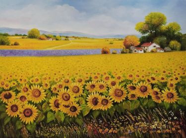 Polje suncokreta 3 by Samardzija Olivera Olja