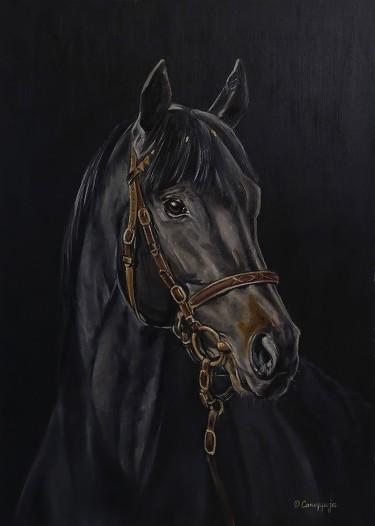 Black horse by Samardzija Olivera Olja