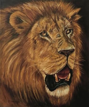 Lion by Samardzija Olivera Olja