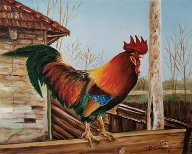 Rooster by Samardzija Olivera Olja