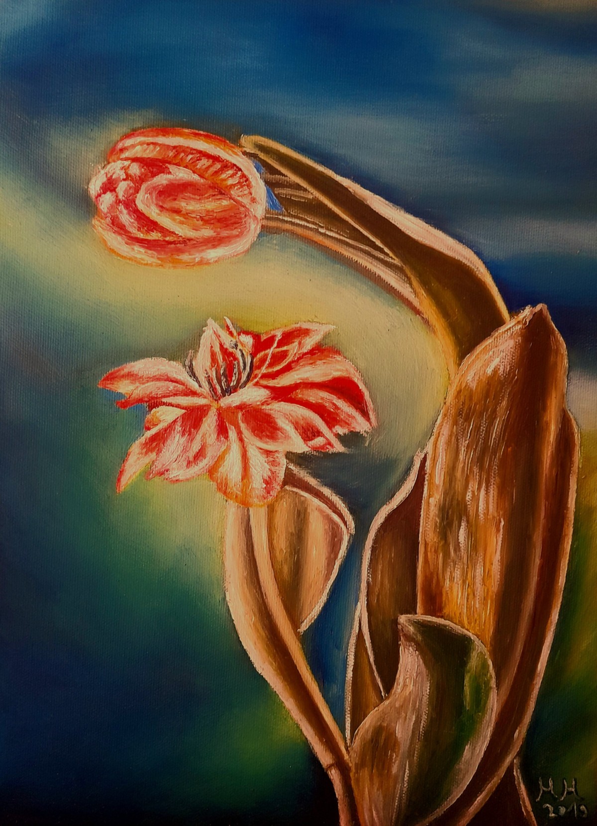 Tulip