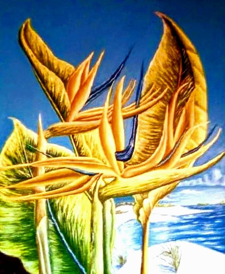 The sea flower