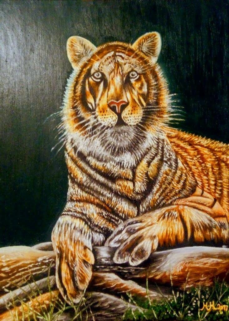 Tigers