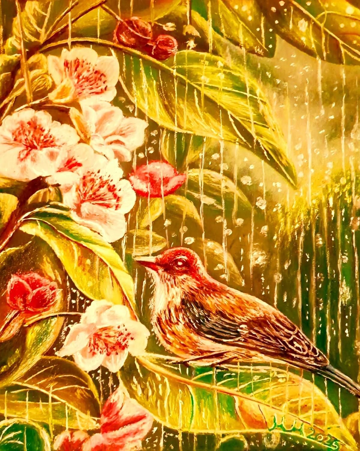 Sparrow  in  the  Rain