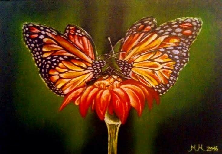 Love butterfly
