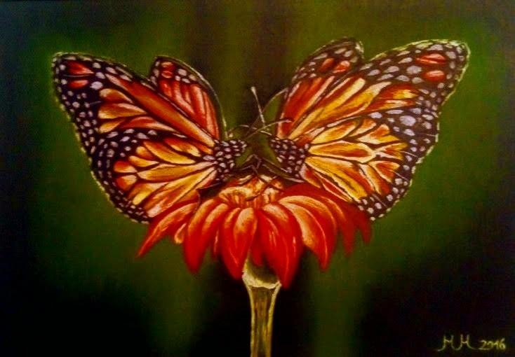 Love butterfly
