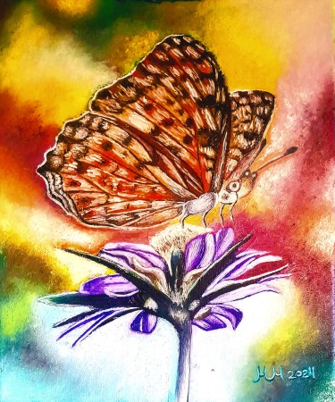 Cheerful butterfly by Marija Mitrovic