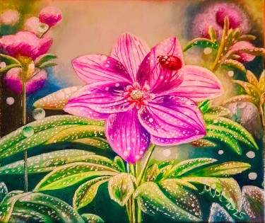 Ladybird in flower by Marija Mitrovic
